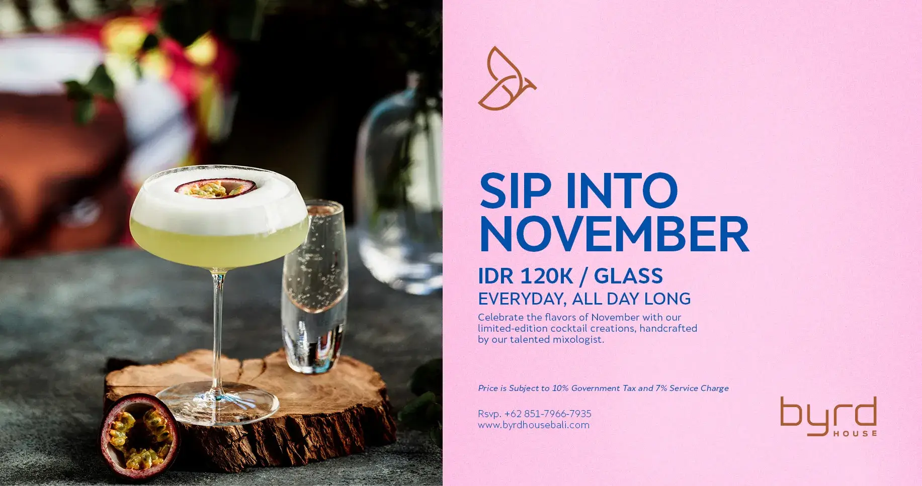 Sip Into November